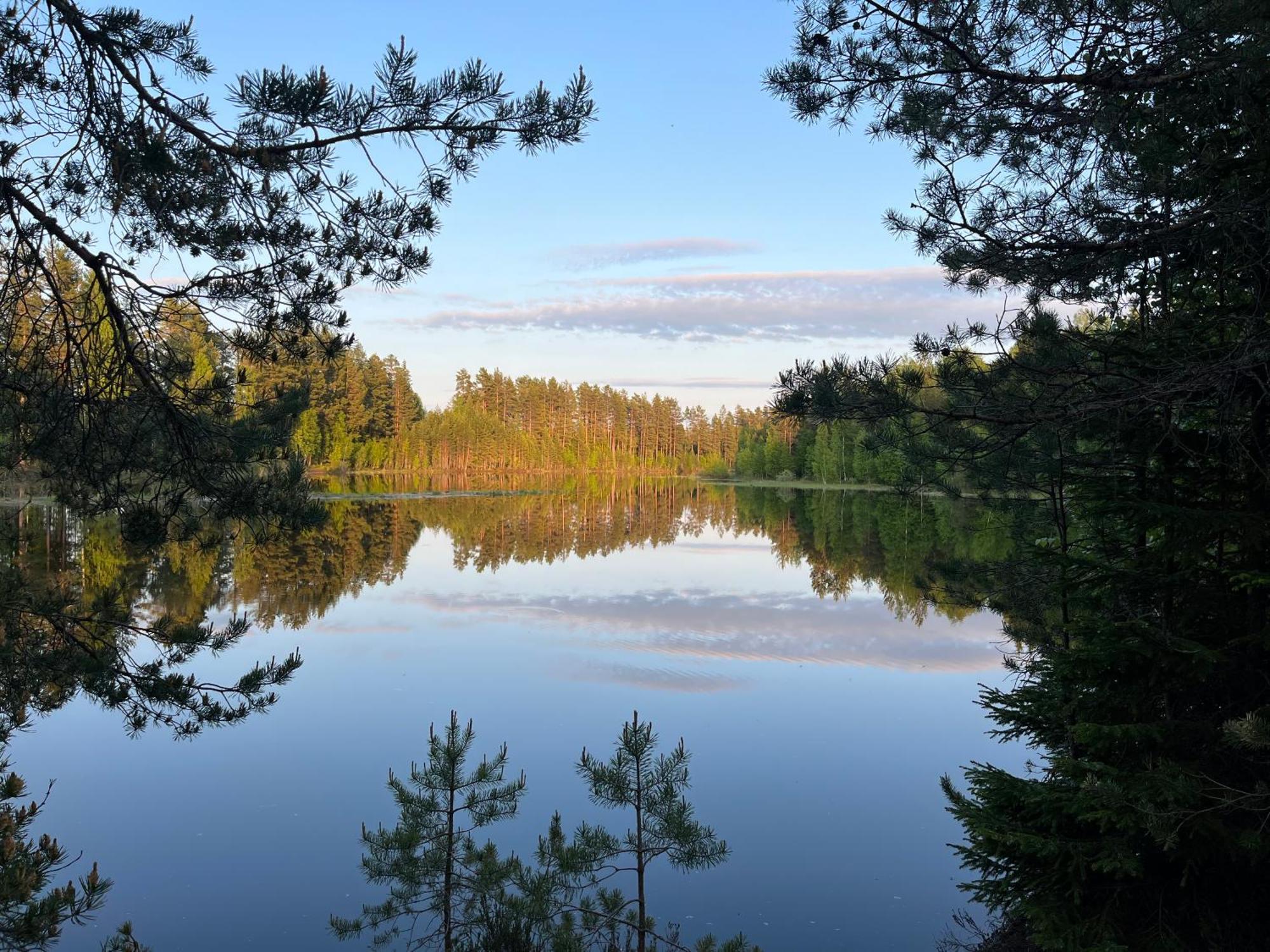 Nya Skogsgarden Hostel Marbacken Luaran gambar