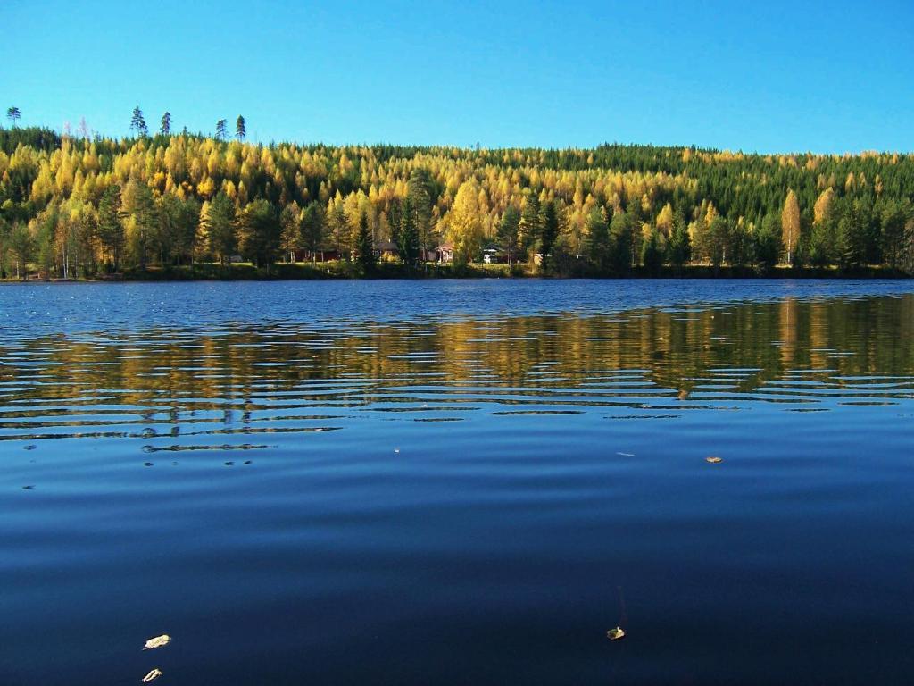 Nya Skogsgarden Hostel Marbacken Luaran gambar
