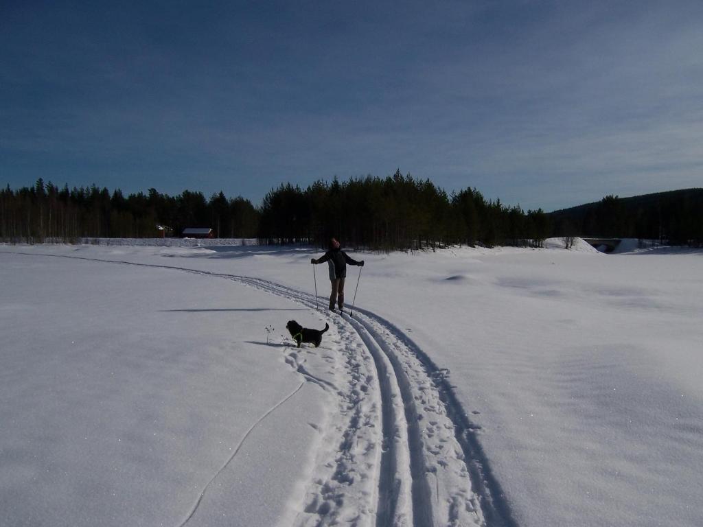 Nya Skogsgarden Hostel Marbacken Luaran gambar